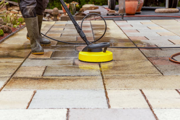 Best Gutter Cleaning and Brightening in Mendota, IL
