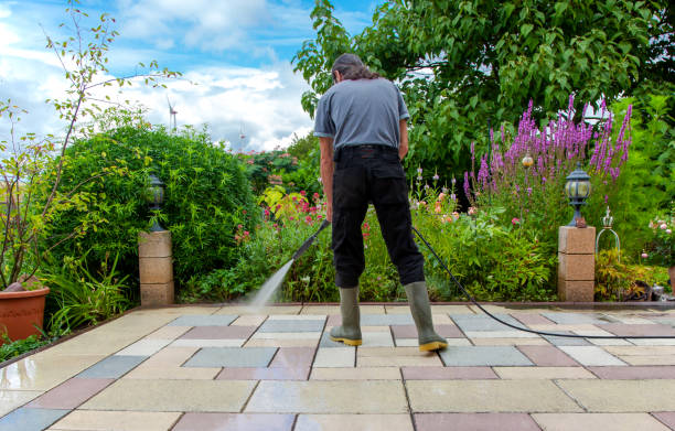 Best Parking Lot Cleaning in Mendota, IL