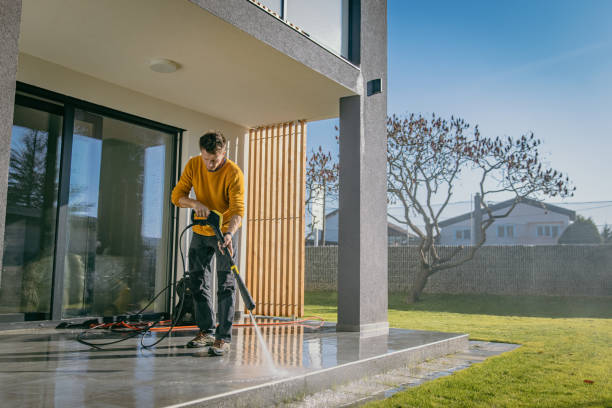 Best Roof Cleaning and Mildew Removal in Mendota, IL